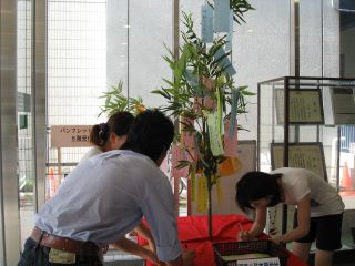 tanabata20084.jpg